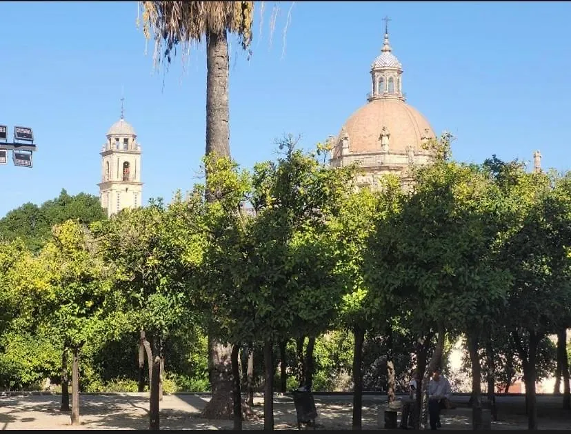 Casa Alzar2 Apartment Jerez de la Frontera